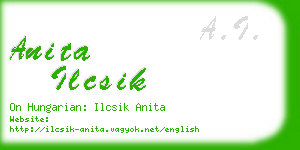 anita ilcsik business card